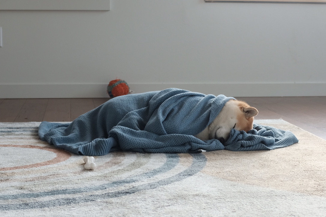 Sleep
