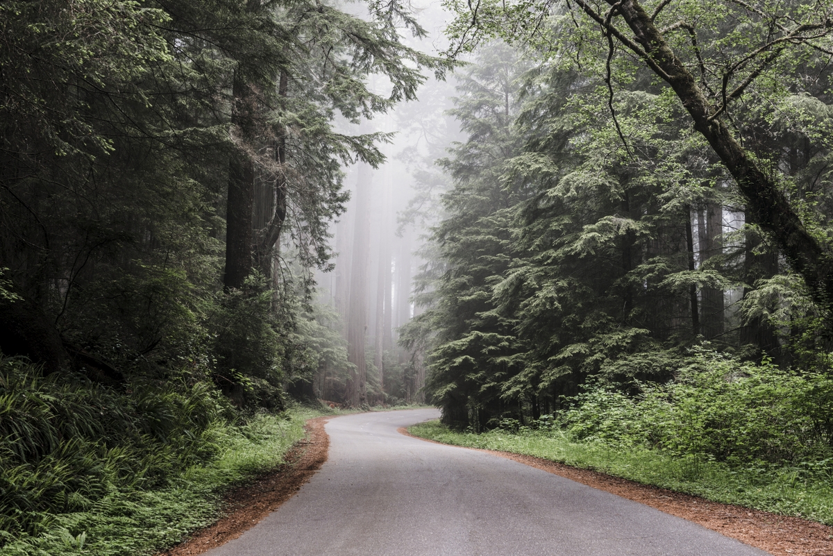 Why Living in Nature is Good for Your Physical Health