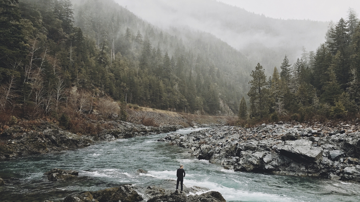 The Benefits of Walking in Nature for Mental Health