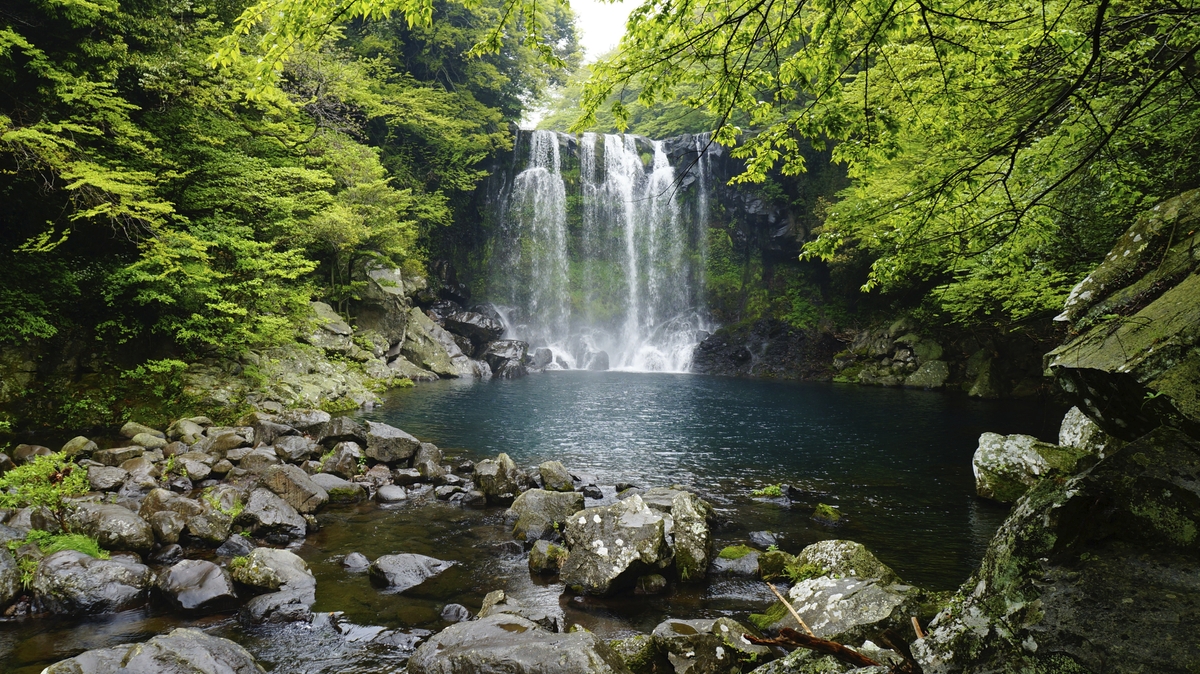 The Therapeutic Effects of Walking in Nature